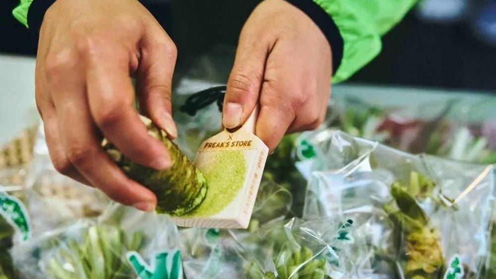 WASABI FREAK 静岡市都市政策課×FREAK'S STORE静岡 わさびフェス協業